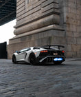 Load image into Gallery viewer, Custom Car Plate