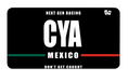 Load image into Gallery viewer, "CYA" Magnetic Plate