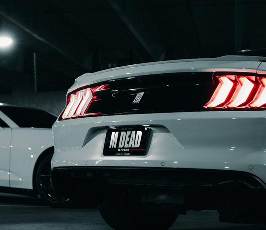 "M DEAD" Magnetic Plate