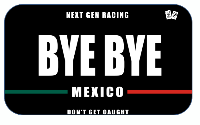 "BYE BYE" Magnetic Bike Plate